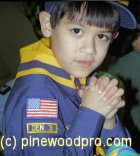 picture cub scout 